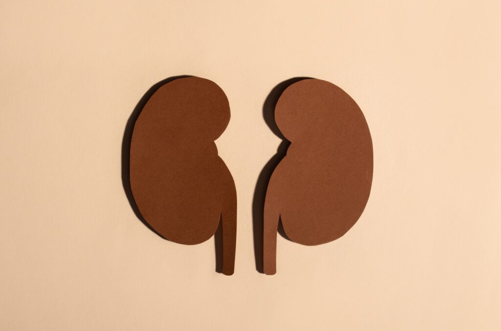 el paso kidney consultants