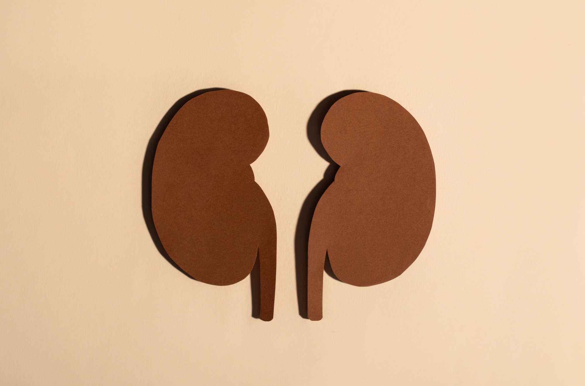 el paso kidney consultants